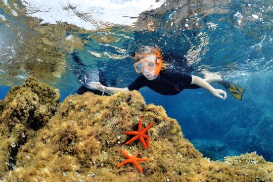 Boat Trip and Snorkeling in the Gulf of Calvi