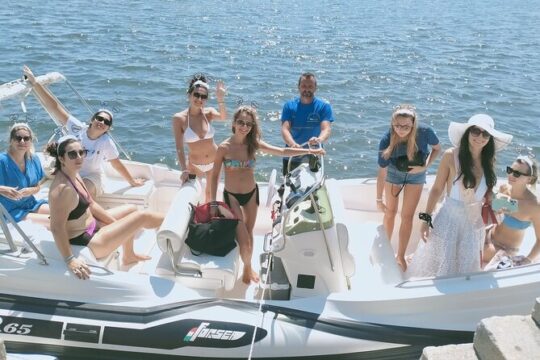 Dolphin Watching Excursion on the Island of Figarolo