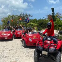Tours & Sightseeing