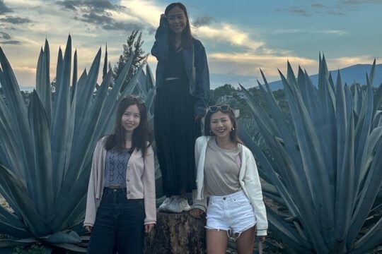 FULL Oaxaca Experience (Small Groups)