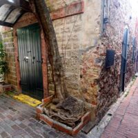 Walking Tours