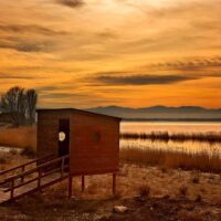 Weddings & Honeymoons