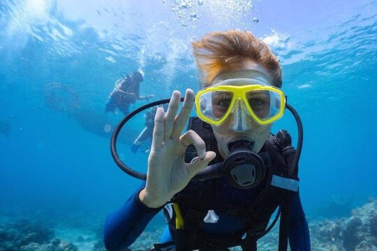 Scuba Diving at Catalina Island - 2 tank - for Certified Divers