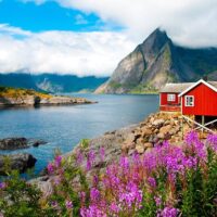 Multi-day & Extended Tours
