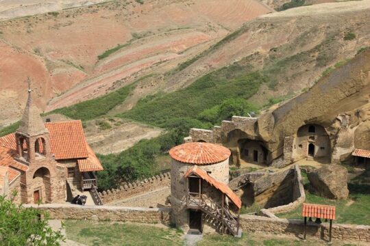 Sacred Sites & Local Flavors: Davit Gareji & Ubadno