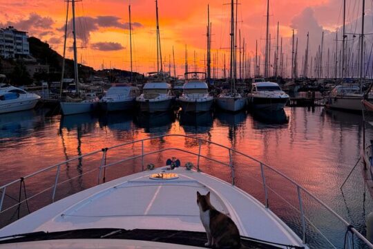 Wine Tasting on Luxury Yacht Sunset Evening in Marina