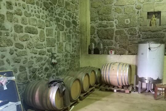 Private Tour through Serra da Estrela Park and its famous cheese