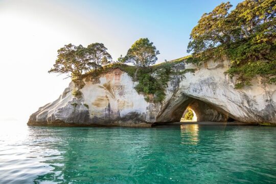 Private Trip to Coromandel