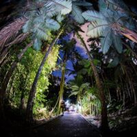 Photography Tours