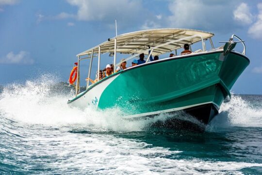 St Maarten Motorboat Cruise: Long Bay, Creole Rock and Tintamarre Island