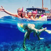 Shore Excursions