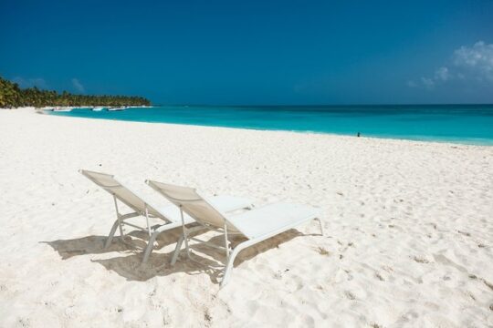 Saona Private Full-Day Tour from Punta Cana