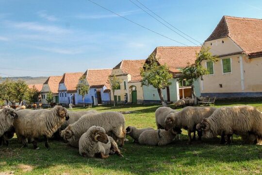 3 day Tour: Medieval Transylvania with Half Board