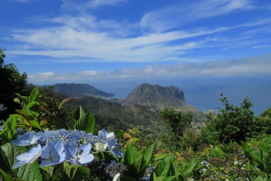 Local Farmers Market and 4WD Experience from Funchal