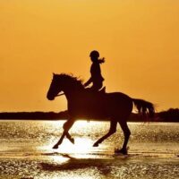 Horseback Riding