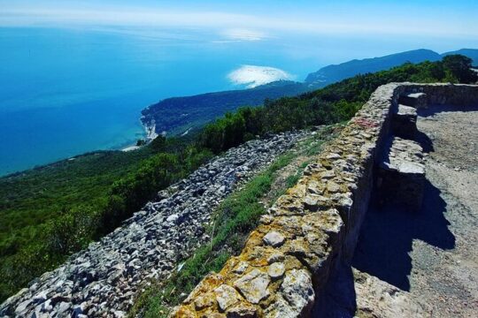 Full Day Tour to Factory of Tiles, Setúbal and Évora from Lisboa