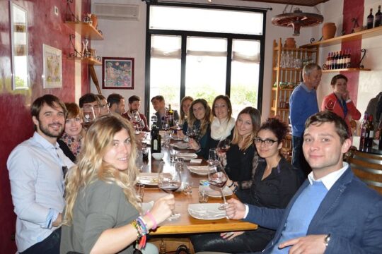 Wines, Cheeses & Bruschettas Tasting in Chianti (Tour at the Winery included)