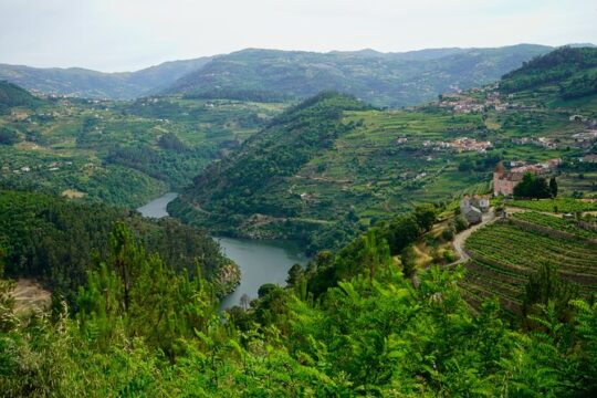2 Days Private Douro Valley Tour from Lisbon