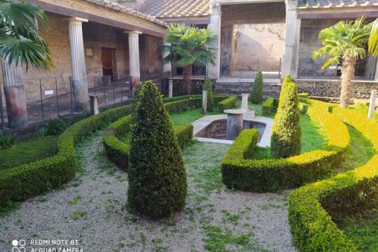 Guided Tours of Pompeii Excavations Historical and Cultural Itineraries