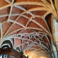 Walking & Biking Tours