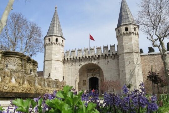 Private Tour of Istanbul from Cruise Port or Hotels