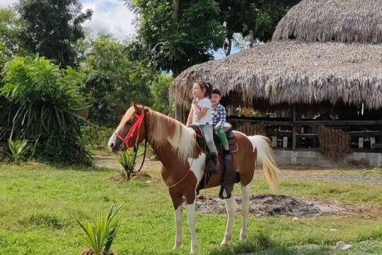 Horseback Riding tour near Santo Domingo with pick up and dropoff