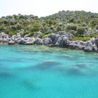 Tours & Sightseeing