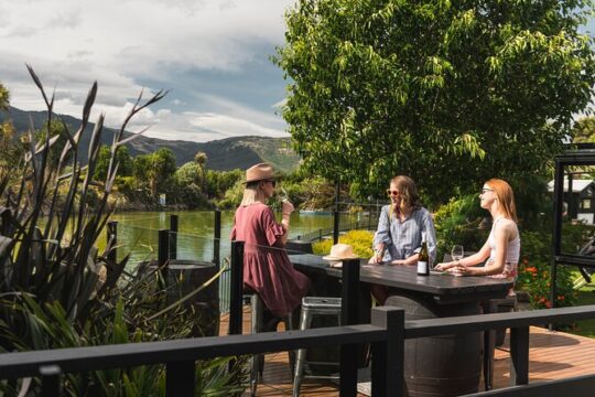 Marlborough Afternoon Wine Tour with Tastings