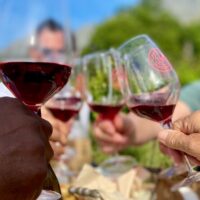 Wine Tasting & Winery Tours