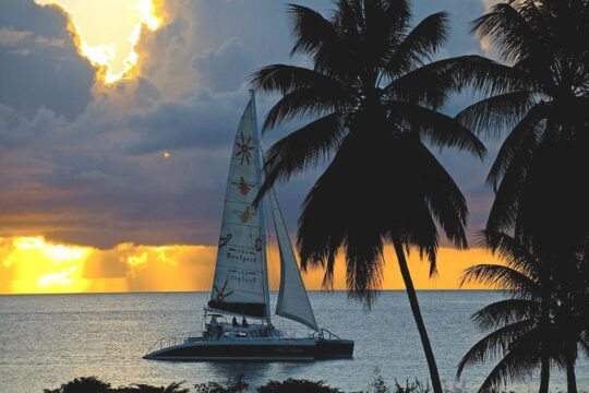 Sunset Catamaran and Snorkeling Cruise At Carlisle Bay