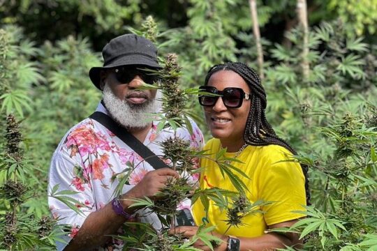 Montego Bay Exotic Birds And Agricultural Interaction Experience