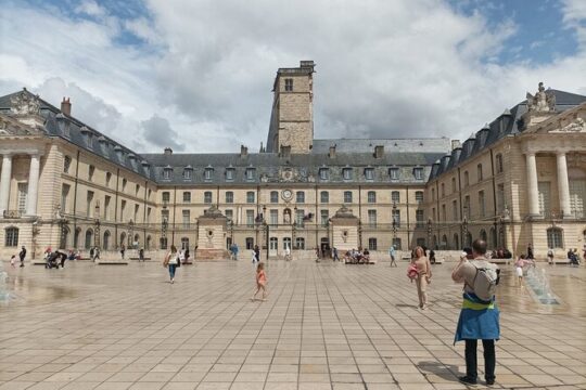 Dijon private guided tour with a professional tour guide !
