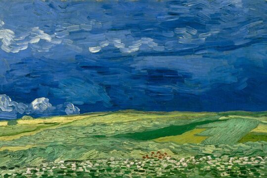 Van Gogh Museum Amsterdam and 1-Hour Canal Cruise