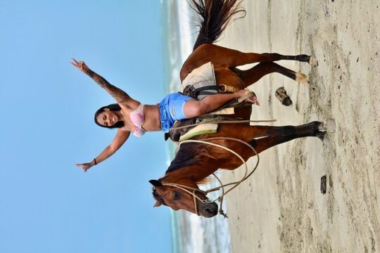 Beach Macao Horseback Riding from Punta Cana