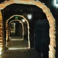 Wine Tasting & Winery Tours