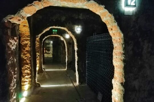 Best Flavors of Bairrada Winery Route, half day from Coimbra