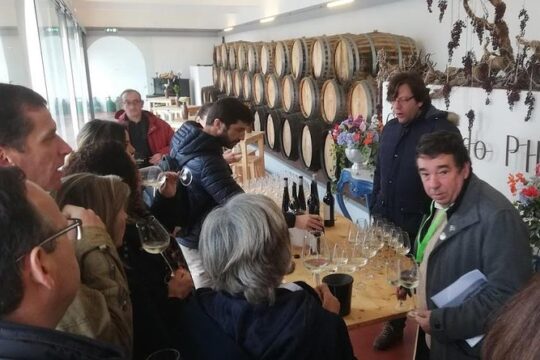 Wine Tasting and food Experiences region of Lisbon - Setúbal