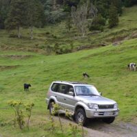 Private & Custom Tours
