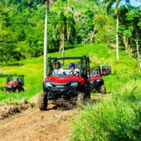 Walking & Biking Tours