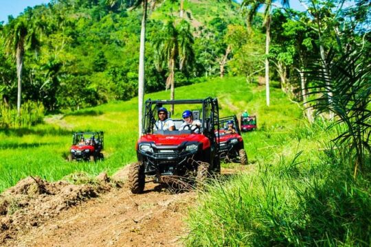Jungle Buggies and Monkeyland from Punta Cana