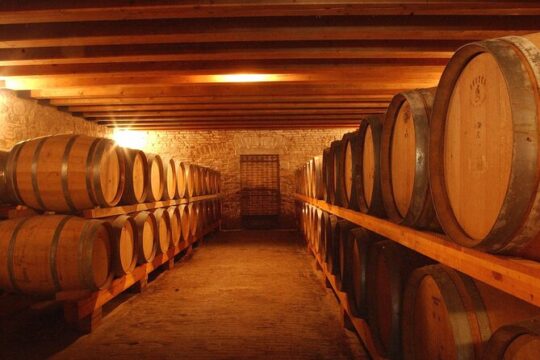 Winery Tour and Tasting on Padova Hills