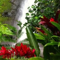Walking & Biking Tours