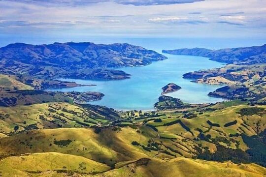 Lyttelton Shore Excursion: Twin Harbour Tour (Lyttelton & Akaroa)