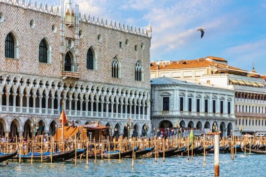 Kid-Friendly Venice Doge's Palace Private Guided Tour
