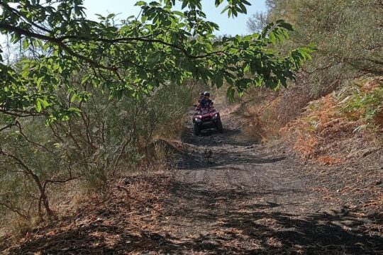 Etna Easy Quad Tour for Small Groups
