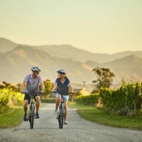 Private & Custom Tours