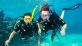 Wonderful dive trip - would highly recommend!