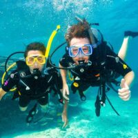 Private Sightseeing Tours