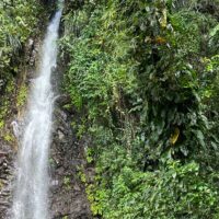 Full-day Tours