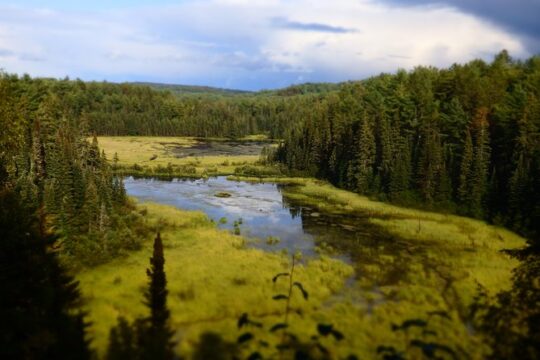 Algonquin Group Camping Adventure (3 Day)